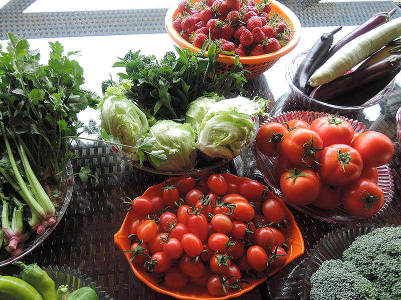 %e6%b2%b3%e6%ba%90%e8%80%83%e5%af%9f%e5%9c%98-2