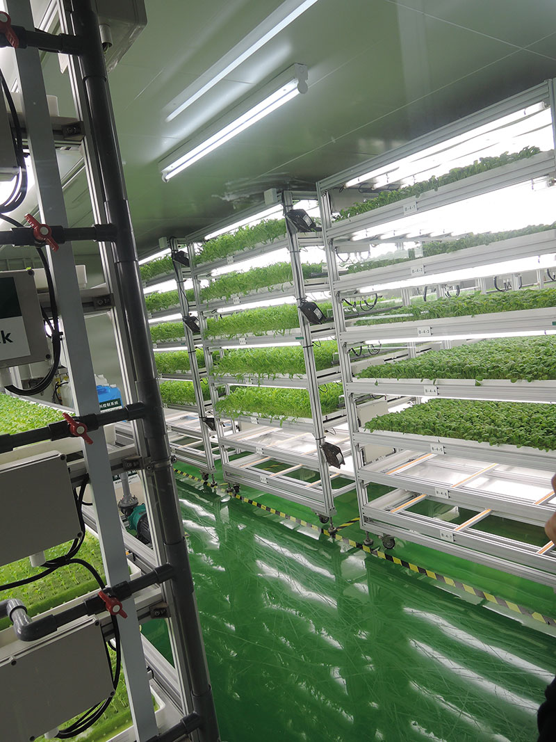 %e8%94%ac%e8%8f%9c%e7%b5%b1%e7%87%9f%e8%99%95-2